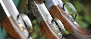 Guns