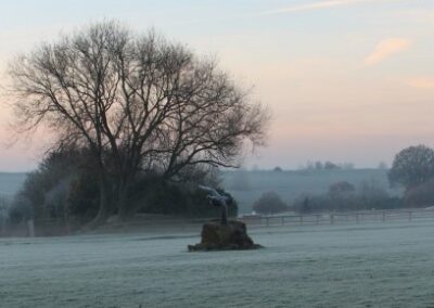 Clay Pigeon Shoot 30th Nov 2012