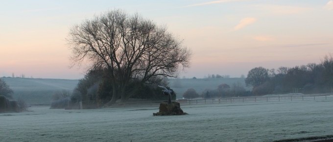 Clay Pigeon Shoot 30th Nov 2012