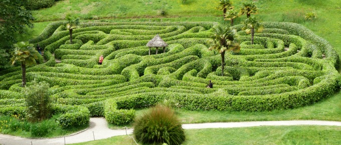 Maze