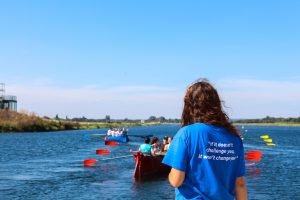 rowing
